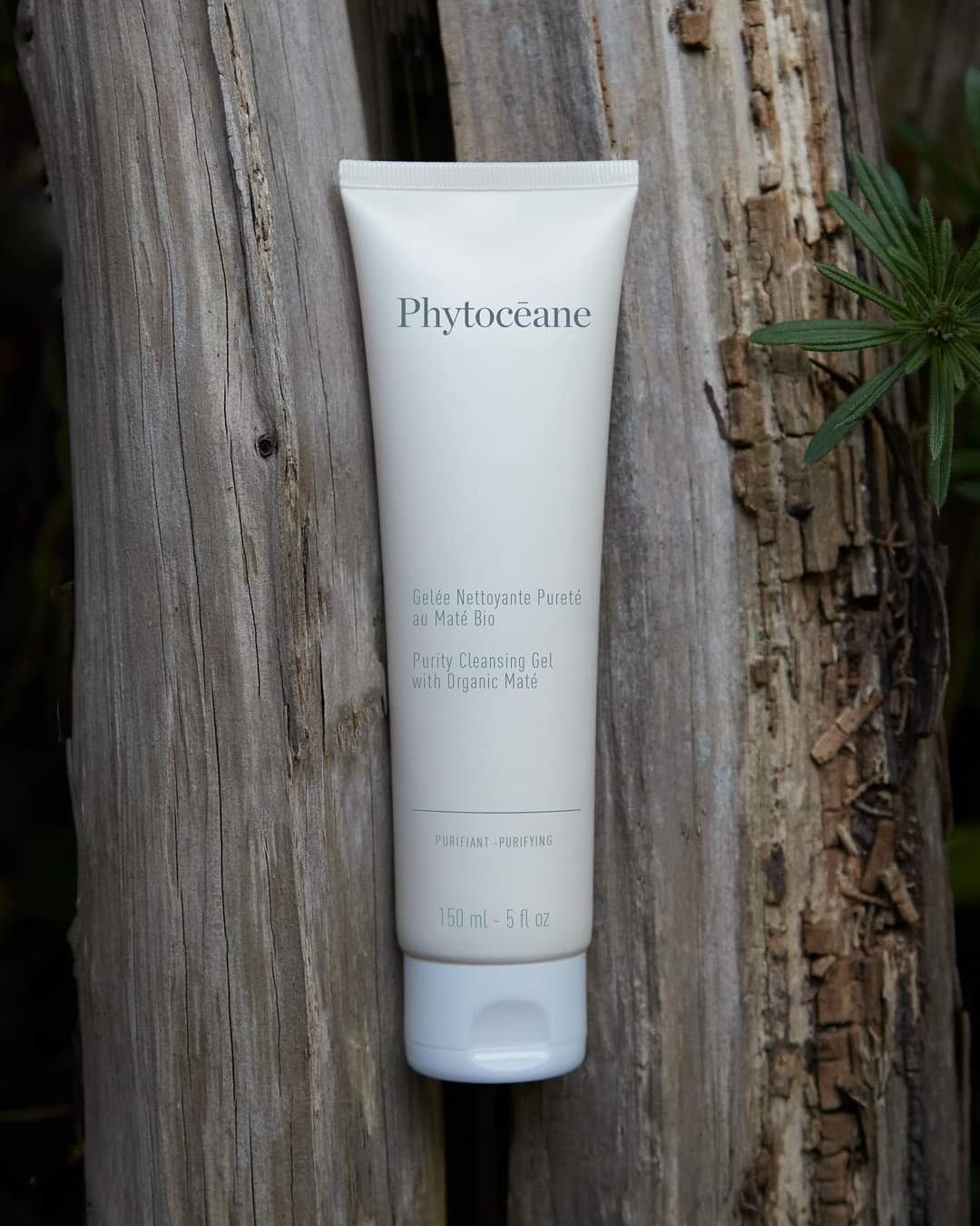 Gelée nettoyante pureté au Maté Bio -Patagonia